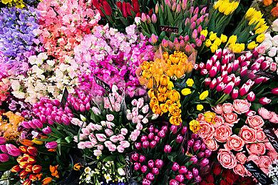 互动小说《西哈诺》2月15日上线Steam 支持简中