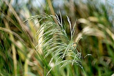 《超级猴子球1&2重制版》预告 剧情模式概要介绍